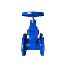 DIN F4 Standard Ductile Iron Soft Sealing Gate Valve | Zero Leakage for Water Supply Systems