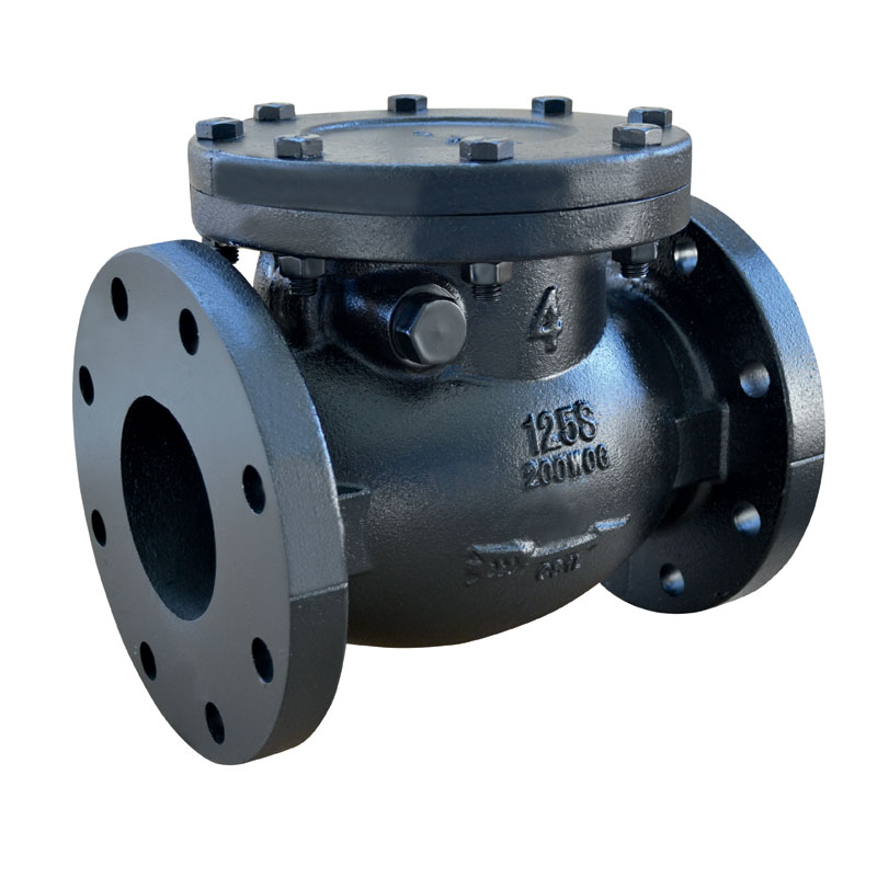 Carbon Steel Flanged Swing Check Valve | Low Pressure Drop Backflow Prevention