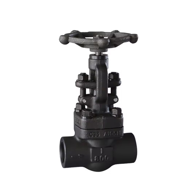 Forged Steel Threaded Globe Valve | Precision Throttling for High Pressure Branch Lines