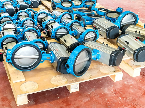 Loose-Butterfly-Valve-Photo