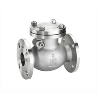 Stainless Steel Flanged Swing Check Valve | Low Pressure Drop Backflow Prevention for Corrosive Lines