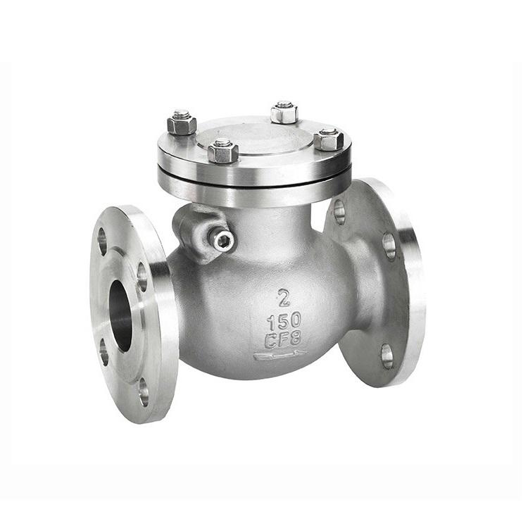 Stainless Steel Flanged Swing Check Valve | Low Pressure Drop Backflow Prevention for Corrosive Lines