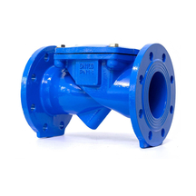Ductile Iron Rubber Flap Check Valve | Silent & Economical Backflow Preventer
