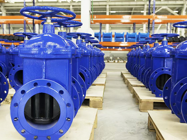 Loose-Gate-Valve-Photo