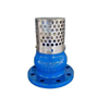 Ductile Iron Foot Valve | Strainer + Check Valve for Pump Suction Lines