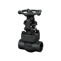 Forged Steel Threaded Gate Valve | Compact & Economical for High Pressure Branch Lines