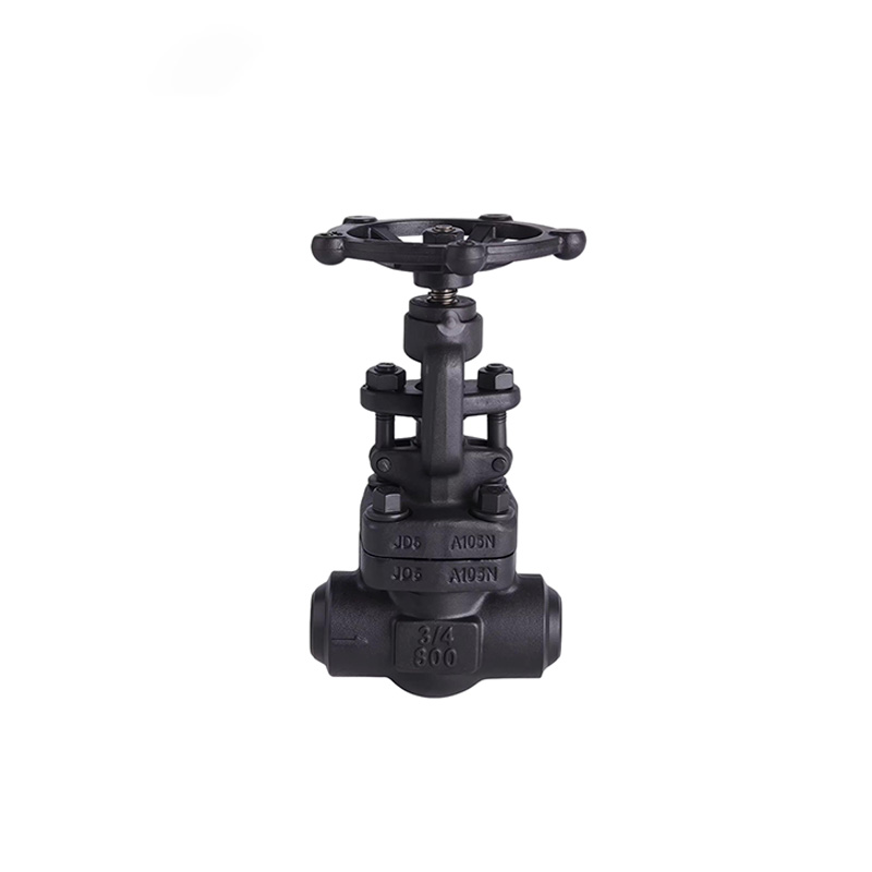Forged Steel Threaded Globe Valve | Precision Throttling for High Pressure Branch Lines