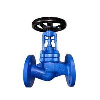 Carbon Steel Steam Trap | Float / Thermodynamic / Thermostatic Types for Condensate Drainage