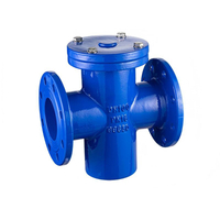 Ductile Iron Basket Strainer (Tee Strainer) | High Debris Capacity for Pump Suction