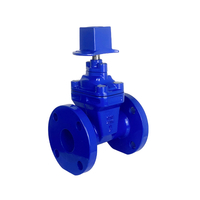 AWWA C515 Ductile Iron Resilient Seated Gate Valve | Zero Leakage for Waterworks