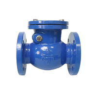 Ductile Iron Swing Check Valve | Flanged Type with Lever & Weight for Large Diameters
