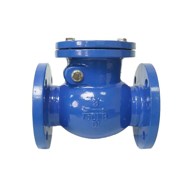 Ductile Iron Swing Check Valve | Flanged Type with Lever & Weight for Large Diameters