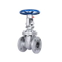 Carbon Steel Flanged Gate Valve | OS&Y / Rising Stem for High Temperature Service